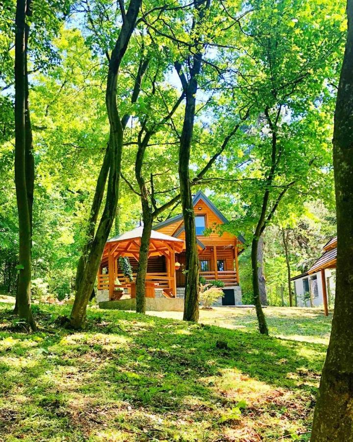 Villa Brvnara Vrsac Esterno foto