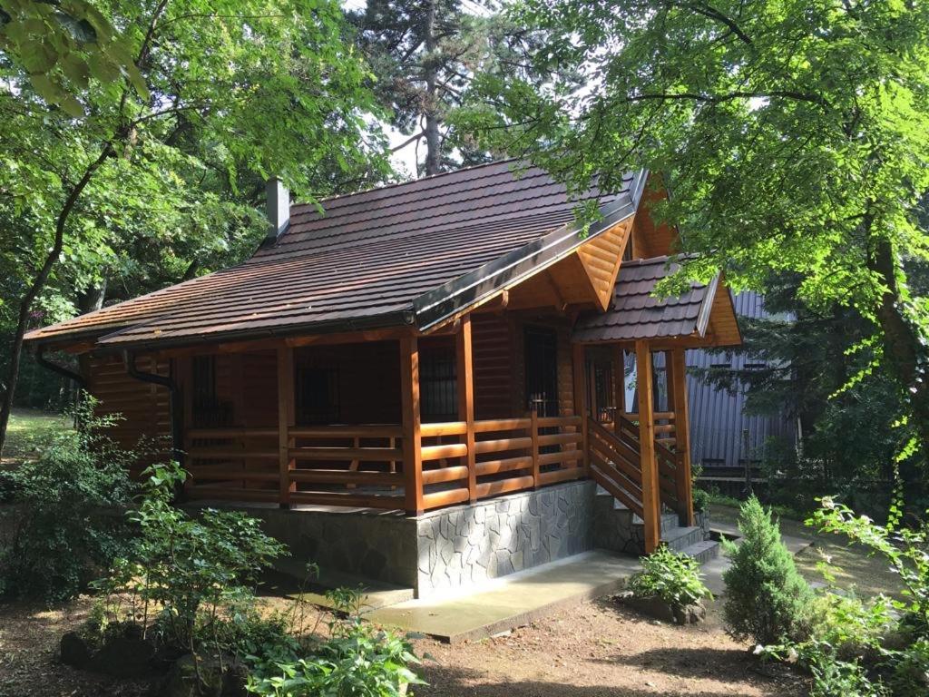 Villa Brvnara Vrsac Esterno foto