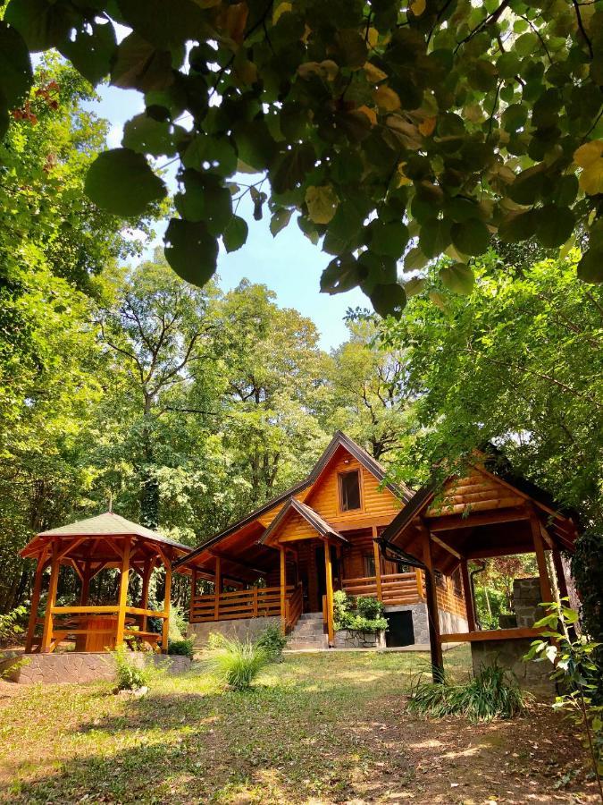 Villa Brvnara Vrsac Esterno foto