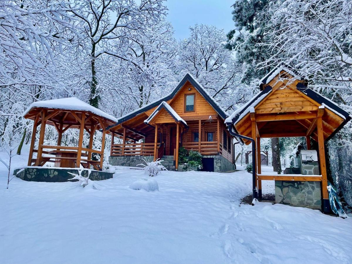 Villa Brvnara Vrsac Esterno foto
