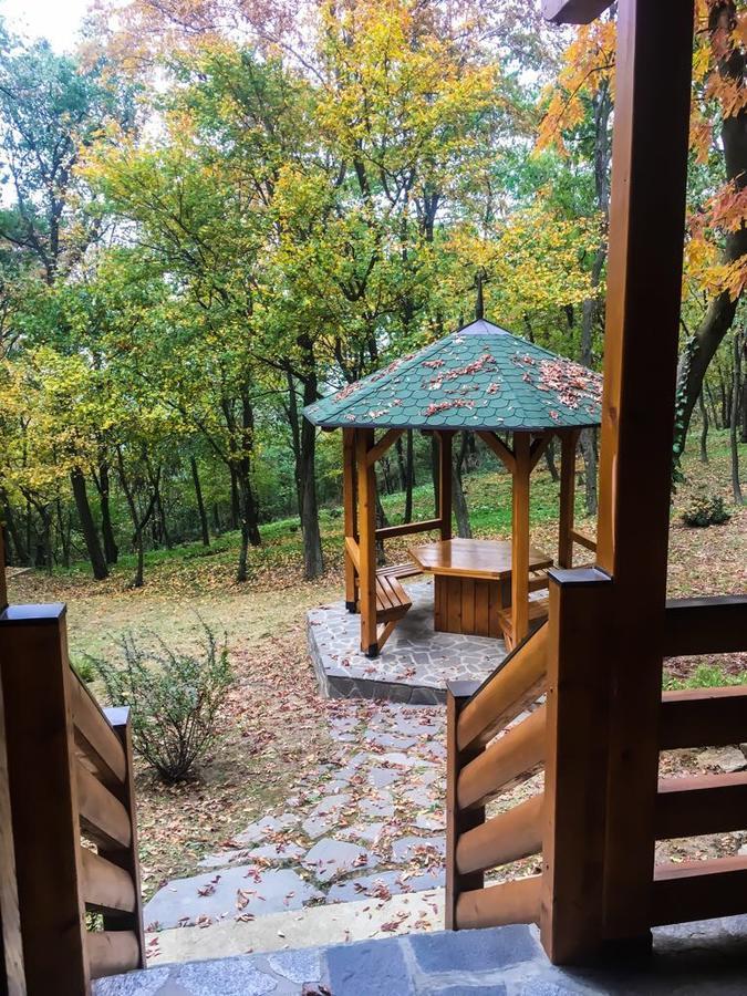 Villa Brvnara Vrsac Esterno foto