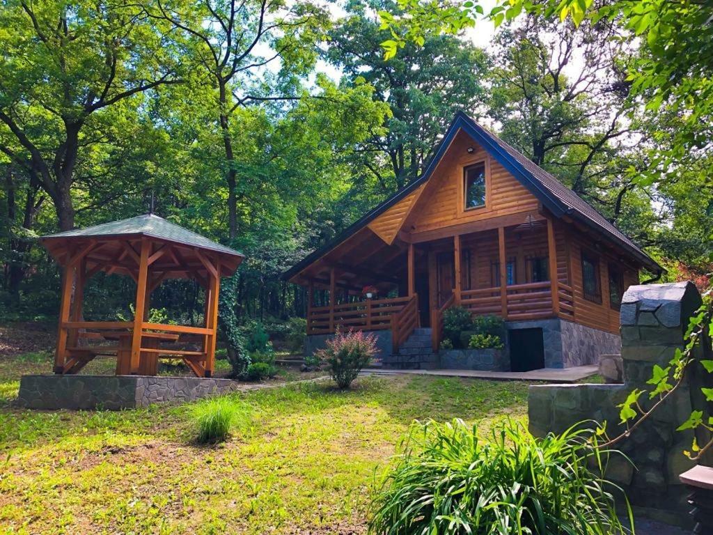 Villa Brvnara Vrsac Esterno foto