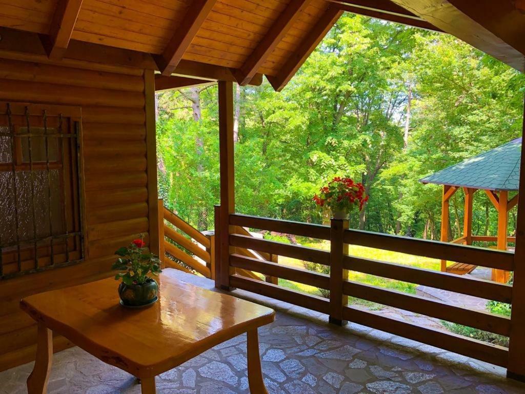 Villa Brvnara Vrsac Esterno foto