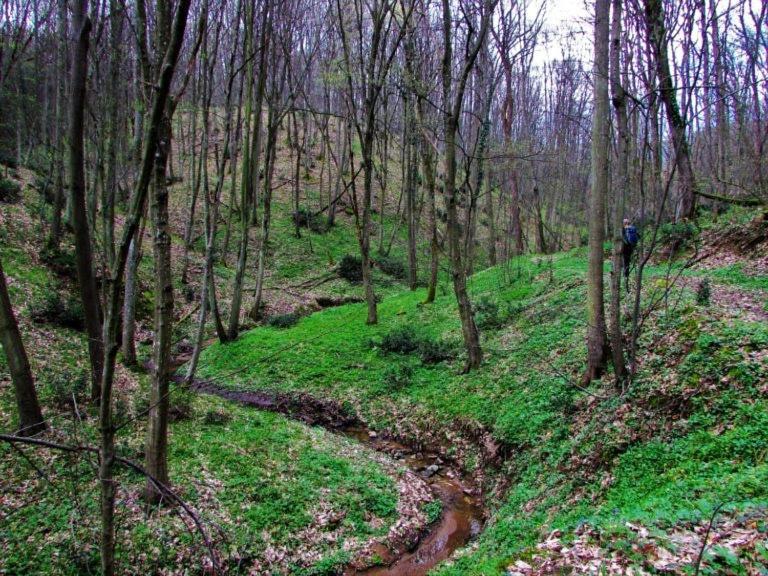 Villa Brvnara Vrsac Esterno foto