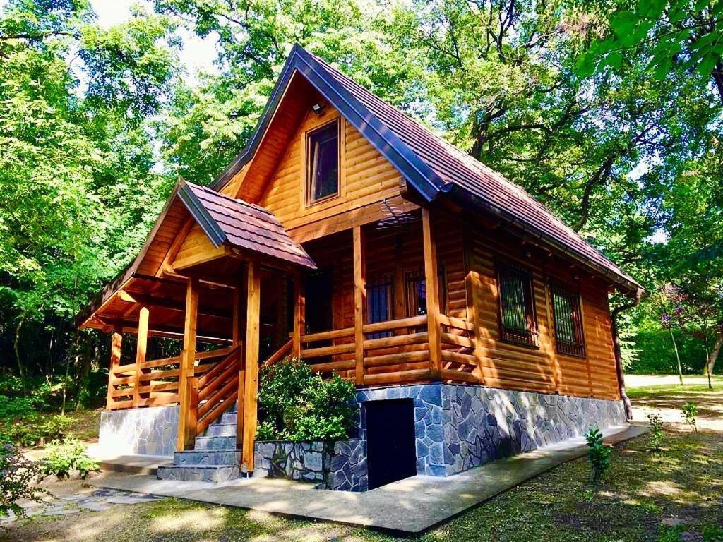 Villa Brvnara Vrsac Esterno foto